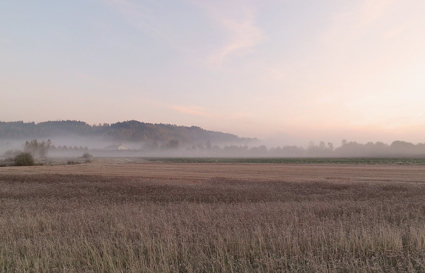 Homepage, str 1400 x 900 pix